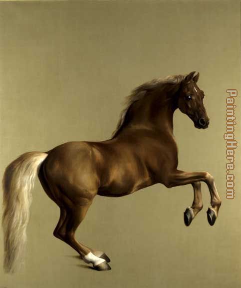 Whistlejacket
